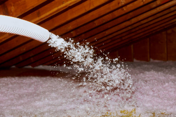 Best Insulation Maintenance and Repair in Lebanon, TN